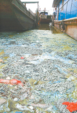 ”陪同调研的生产负责人指着一台正在组装的环保水处理设备介绍道