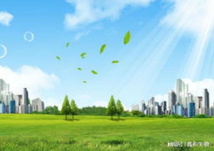 要紧紧围绕省委“一年见底清乱、两年提升进位、三年居中前行、五年根本扭转落后局面”的总体部署