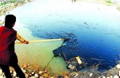 敬请广大投资者在作出投